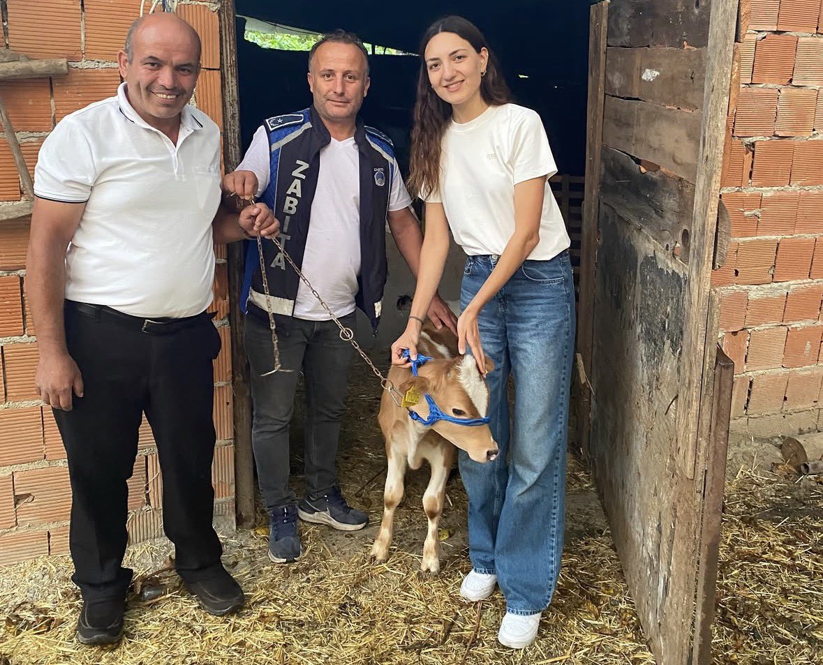 Çekiliş Hediyesi Buzağı Talihlisine Teslim Edildi!